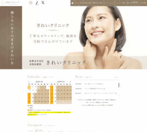 「切らない」「後戻り可能」な施術メニューに定評あり「きれいクリニック」
